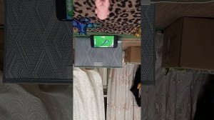 обзор. на котиков и пёселей