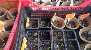 7.03.26 Жизнь на Урале обычной семьи!!! У нас снежнык тоннели ,а всех женщин с 8 марта)))