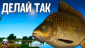 RF4 Делай по-другому и будет другой результат #рр4