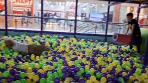 🎉 Реализованный проект