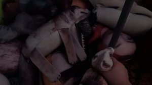 8 серия те самые которые двое