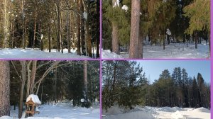 09-03-2026💥Влог💥понедельник ☀️мороз и солнце 📖комментарии