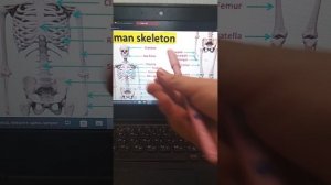 УРОКИ АНГЛИЙСКОГО ЯЗЫКА учитель Вера Фролова 3класс