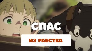 ИНТЕРЕСНЫЕ ФАКТЫ ПРО МИКБЕЛА И КУРО