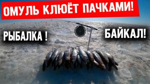 РЫБАЛКА НА УДОЧКУ. ЛОВЛЯ ОМУЛЯ С ГЛУБИН БАЙКАЛА!
