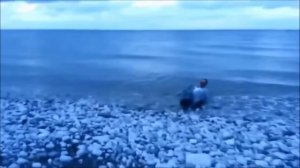 Рыбалка. Лучшие фэйлы. Курьезы на рыбалке.