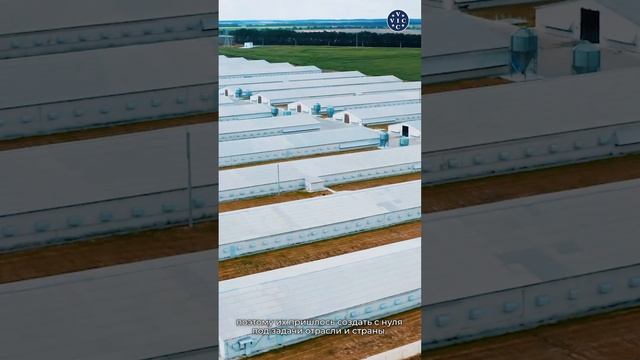 Группа компаний ВИК: путь к инновациям и лидерству