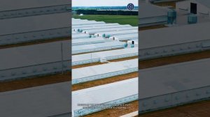 Группа компаний ВИК: путь к инновациям и лидерству