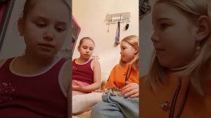 содержание хомяка