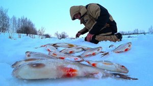 УШЁЛ ПОДАЛЬШЕ ОТ ЛЮДЕЙ А ТУТ ТАКОЕ!!! НАТАСКАЛ... Удачная рыбалка в марте.