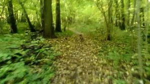 092 2018.10.09_10.08.55