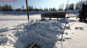 Жерлицы проверка. 26 день.