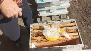 Матки нет, объединил.