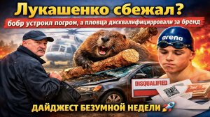 Бобёр, мошенники и депрессия: самые безумные новости недели, от которых волосы дыбом