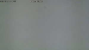 LIVE: channel43489494