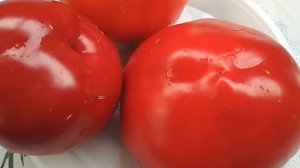 Семена перца #ОсмарскоКамбе