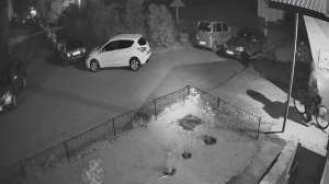 Полиция установила причастность жителя Барнаула к серии краж велосипедов из подъездов многоэтажек