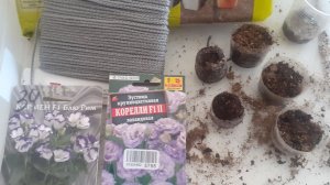 10.03.2026 ЭКСПЕРИМЕНТ: сеем ЭУСТОМУ тремя способами.