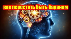 Давай разберемся, как перестать быть бараном