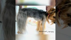 Как снять мерки . Часть 1