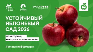 Устойчивый яблоневый сад 2026: мониторинг, контроль, профилактика.