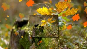 Ф.Шопен Осенняя мелодия