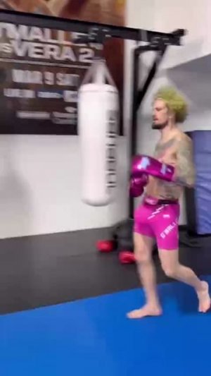 😄 Сахарок решил уравнять шансы!