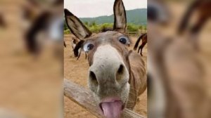 LIVE: с понедельника по пятницу/март/