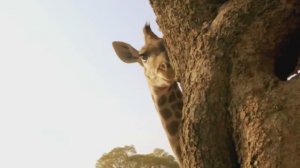 2 минуты 56 секунд то