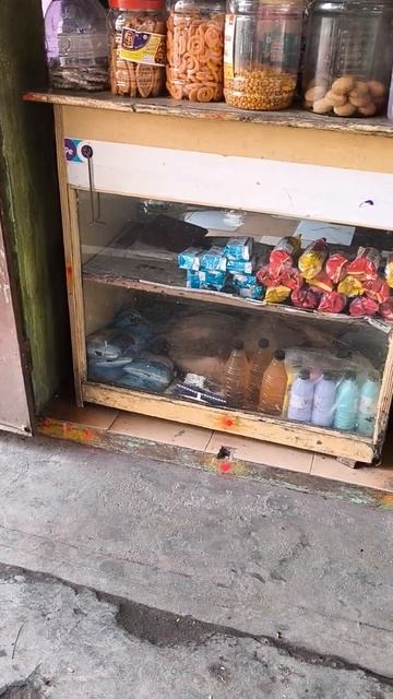 Магазинчик на улице Коттакупама в Южной Индии. На нижней полке друг и охранник хозяйки.