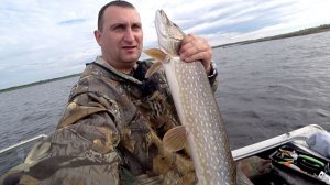 Рыбалка спиннингом на весеннюю щуку. Эти приманки косят всех щук.