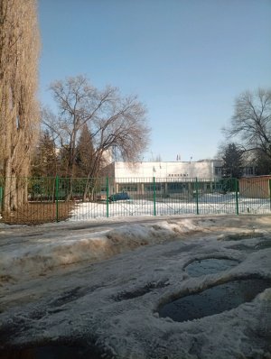 так я еду домой от школы идиотской