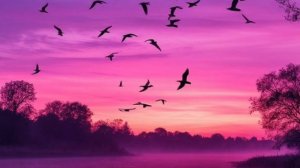 Утро после тишины