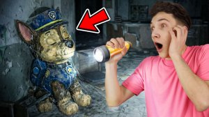 Я НАШЕЛ Щенячий Патруль в РЕАЛЬНОЙ ЖИЗНИ! (ГОНЧИК и МАРШАЛЛ)