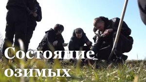 В ЛНР студенты ЛГАУ взяли пробы озимых растений