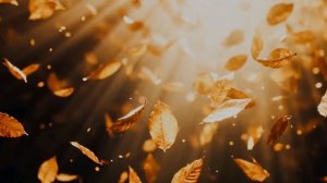 На закат я люблю смотреть.