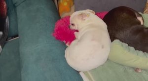 Доброго всем вечера и самой спокойной ночи.