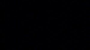 Мои таёжные каникулы - 2026 (03)