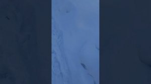 иду домой с расулом