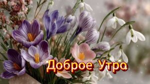 Доброе утро пусть утро будет добрым  ☀️🌈
