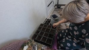 Решила и сделала. Время покажет