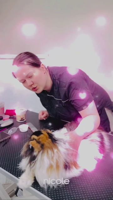 Мастер-класс по кошкам