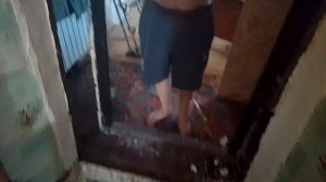 заделали окно, вытянули лутку из двери, посадили рассаду