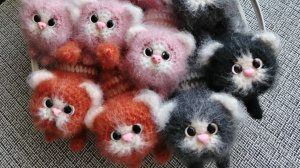 Очень много котиков!!!