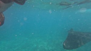 Asia vol.4_short_2026.mp4