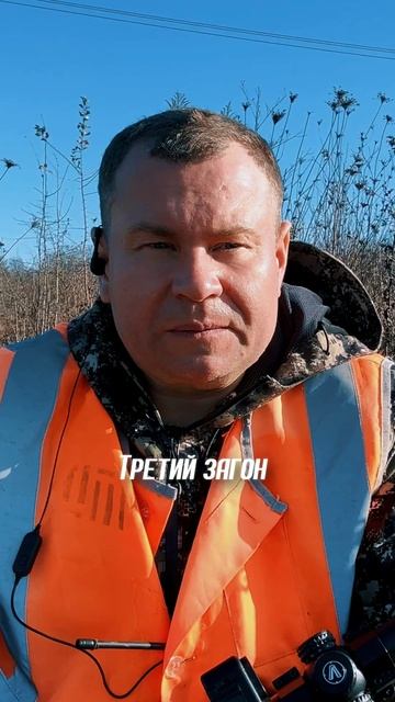 2 охота / ДИЧЬ ЕСТЬ — ТРОФЕЯ НЕТ! #охота #охотанакобана #трофейныйкабан #трофейнаяохота