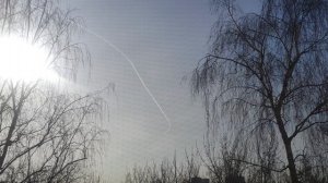 10 марта как обещал волшебник солнце 🌞 светит для вас... без осадков до вечера