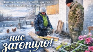 Уютное утро в деревне в начале весны / Заметает снегом / Рутина / Сею томаты  / Неспешная жизнь💖