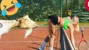 Смеяться Право не Грешно