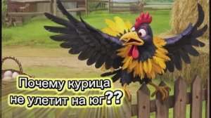 Почему курица не хочет улететь на юг??😅 ворона Ася ответит